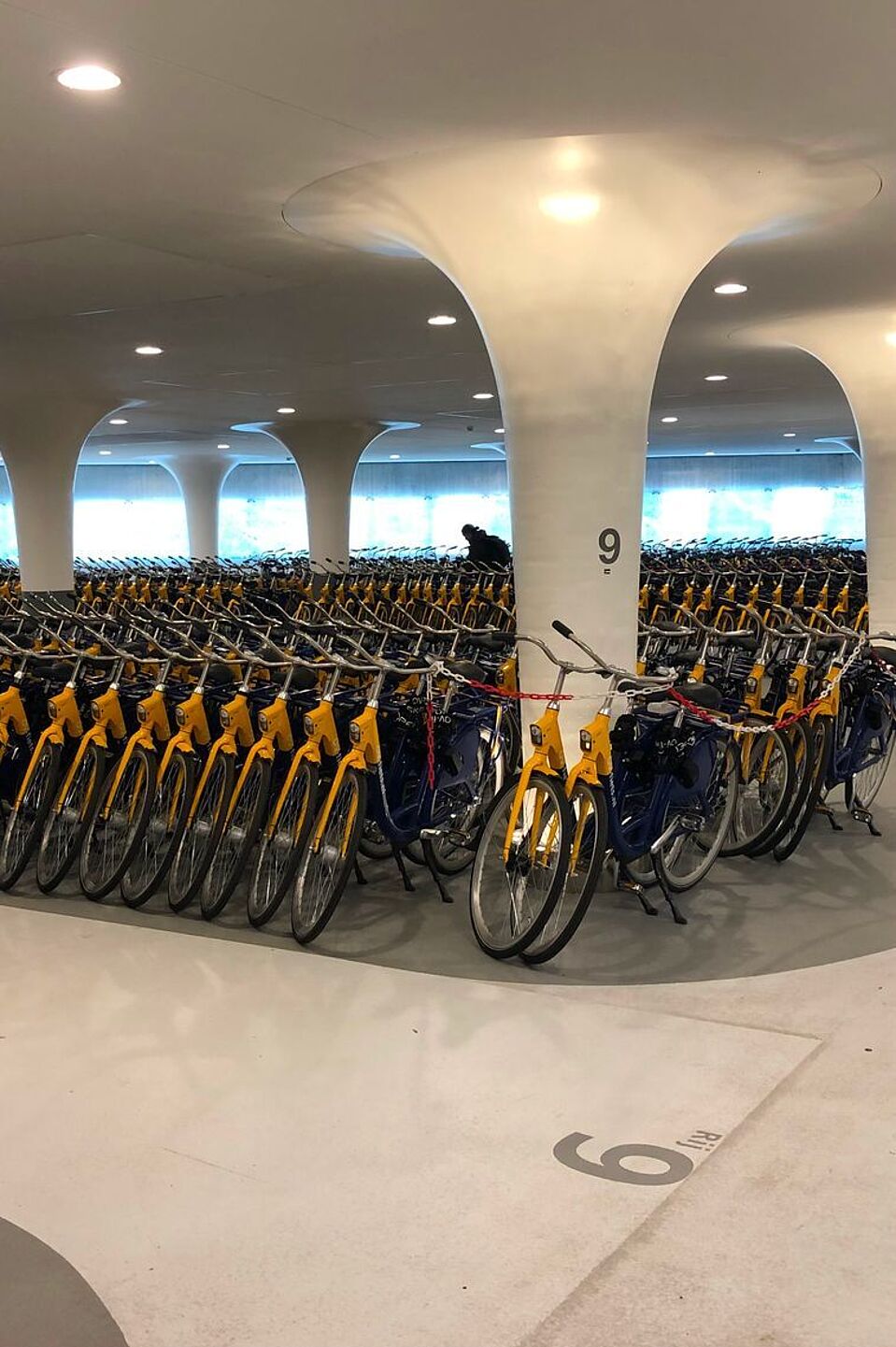 Öffentliche Leihräder in Utrecht Öffentliche Leihräder in Utrecht