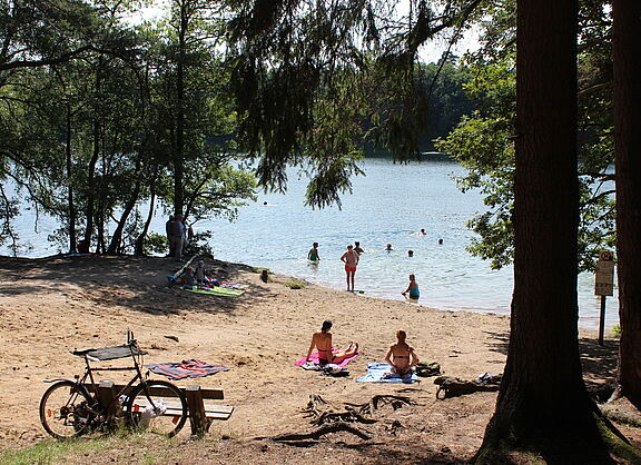 Badestelle am See im Naturpark Lauenburgische Seen im Sommer
