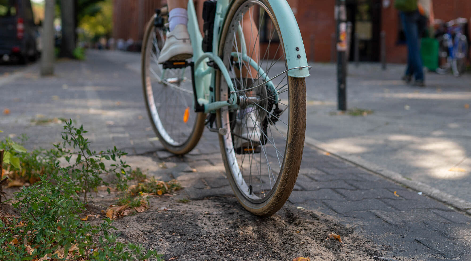 Radweg mit Schlagloch und Baumwurzeln