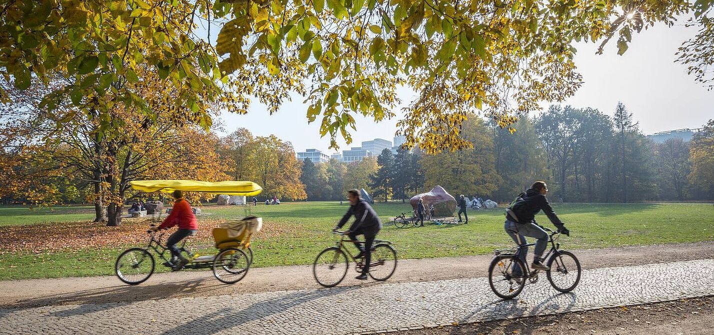 Radfahren im Herbst hat seine eigenen Reize und Herausforderungen.