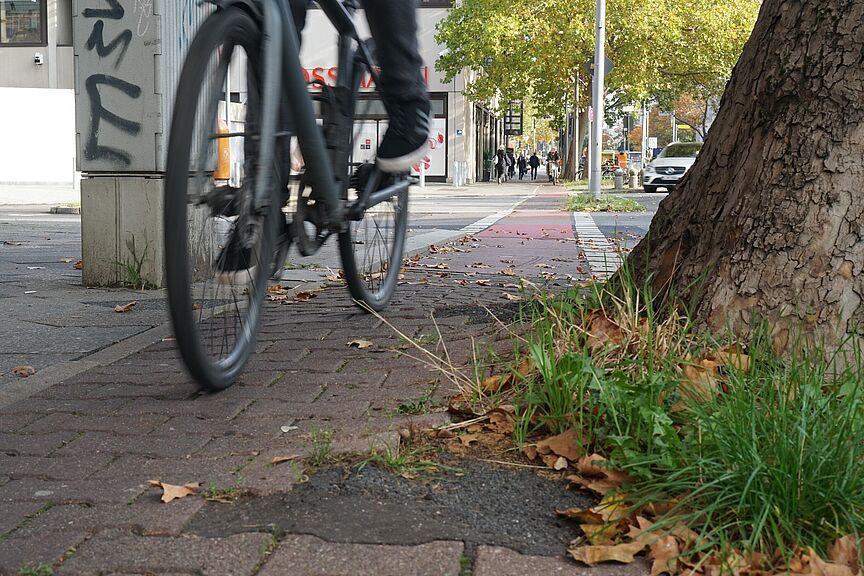 Landtagswahl Bayern Radverkehr Fahrrad auf Radweg
